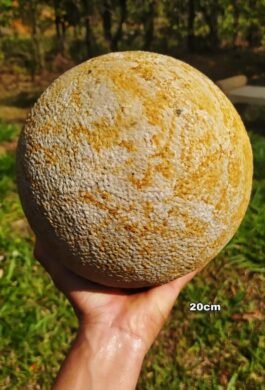 Esfera en Piedra 20 cm abujardada