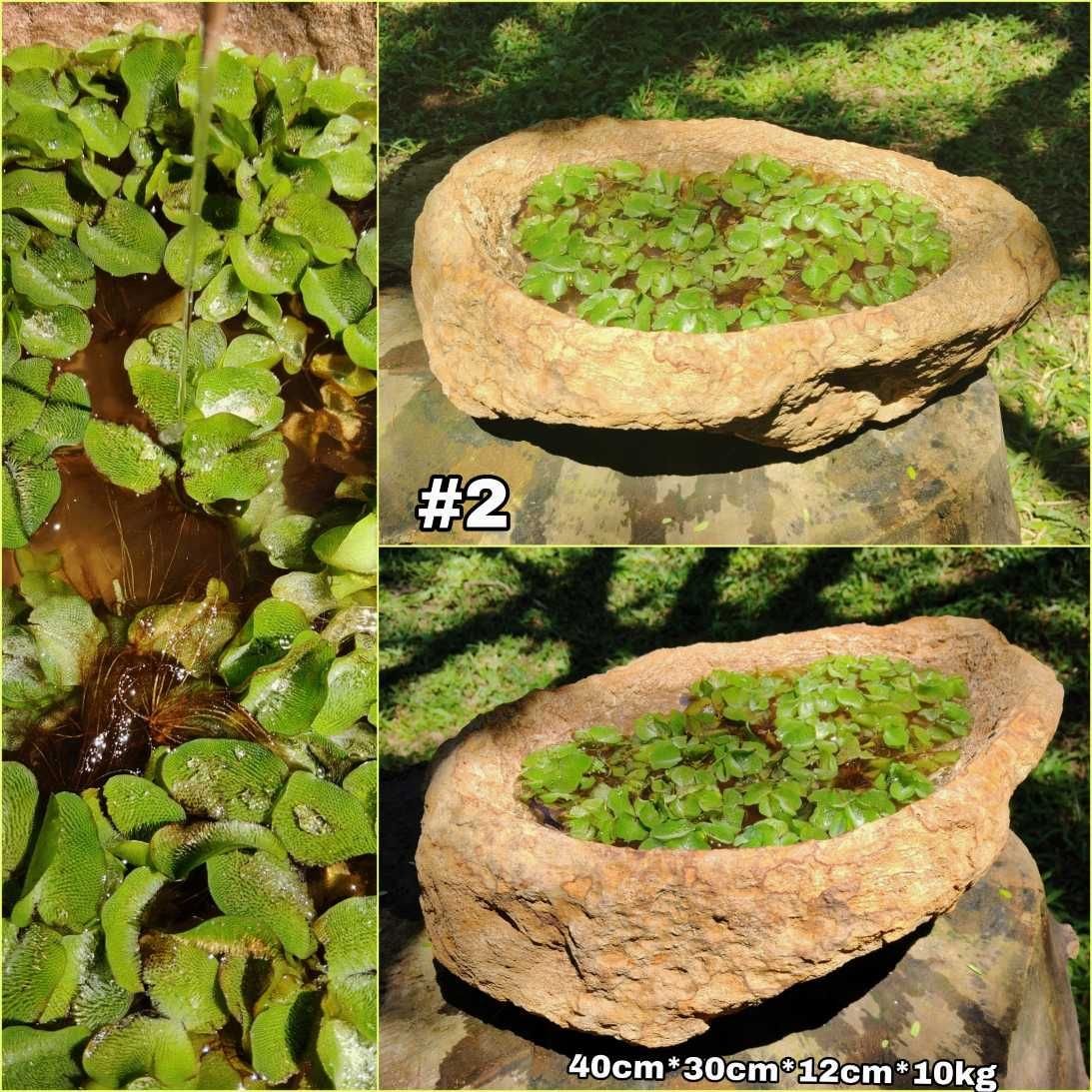 Pila rustica en piedra natural, bebedero pajaros